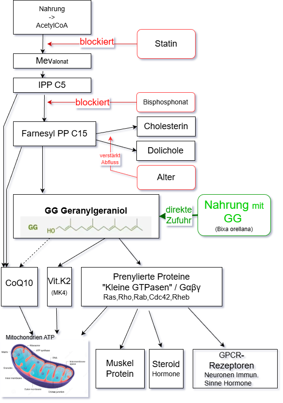 Pathways and hinderances to GG